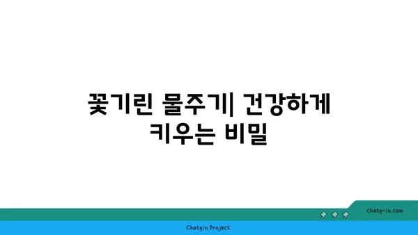 꽃기린 키우기 완벽 가이드 | 꽃기린 종류, 물주기, 번식, 병충해 관리