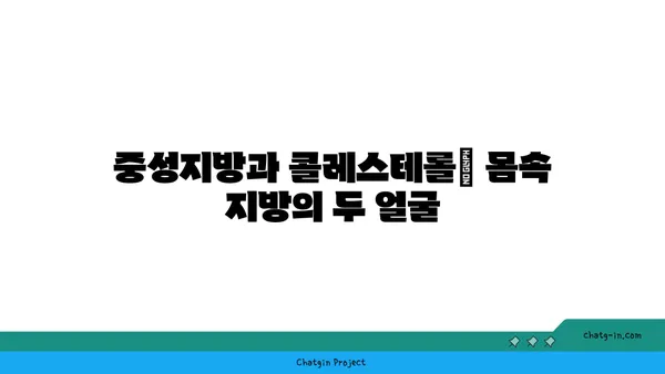 중성지방과 콜레스테롤| 헷갈리는 두 지방의 비밀 | 건강, 지방, 혈액, 차이점, 공통점