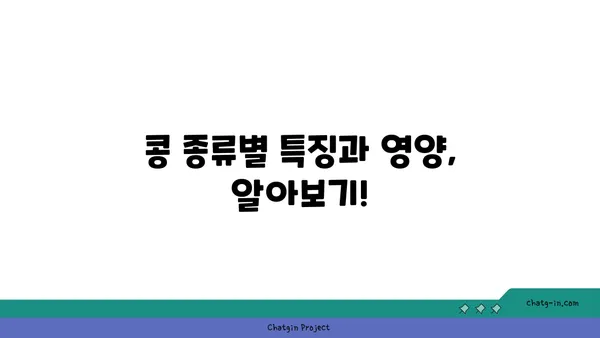 콩, 어떻게 먹어야 건강할까요? | 콩 효능, 콩 요리 레시피, 콩 종류, 콩 섭취 방법