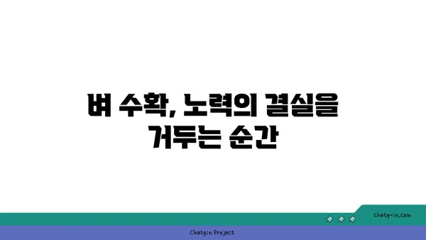 벼농사 성공 전략| 품종부터 수확까지 완벽 가이드 | 벼 재배, 벼농사, 벼 관리, 벼 수확, 벼 품종, 벼 병해충