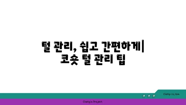 코리안 숏헤어 완벽 가이드| 성격, 건강, 털 관리, 입양 정보 총정리 | 고양이, 품종, 분양, 특징