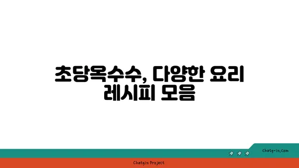 달콤한 맛의 비밀, 초당옥수수 제대로 먹는 법 | 초당옥수수, 옥수수 요리, 꿀팁, 맛있게 먹는 방법