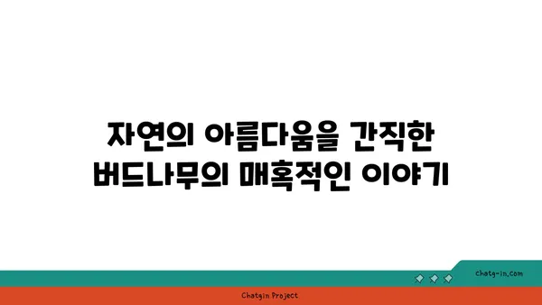 버드나무의 매력| 잎, 가지, 뿌리의 아름다움과 의미 | 나무, 자연, 풍경, 전설