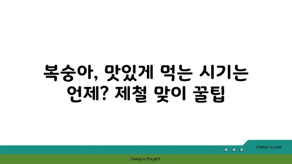 복숭아의 맛있는 비밀| 건강과 즐거움을 위한 과일 | 복숭아 효능, 복숭아 종류, 복숭아 레시피