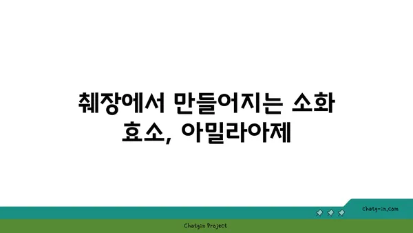 아밀라아제의 모든 것| 작용 원리부터 건강까지 | 소화 효소, 췌장, 혈당, 건강 정보