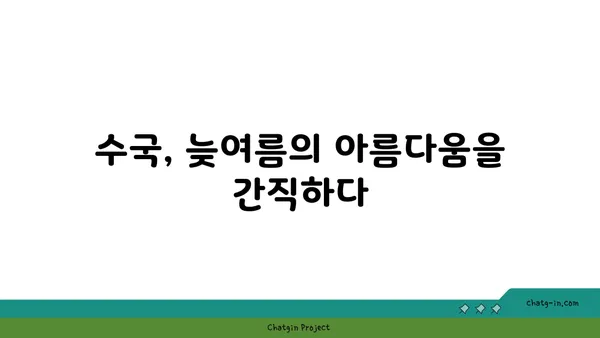 수국 꽃말의 가을 이야기| 늦여름의 아름다움과 깊어지는 의미 | 수국, 꽃말, 가을, 의미, 늦여름