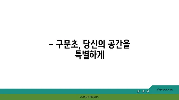 구문초의 매력에 빠지다| 종류별 특징과 관리법 | 구문초, 식물, 관리, 종류, 키우기