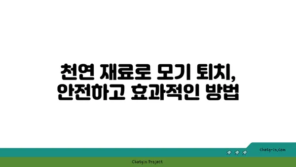 모기퇴치법 총집합| 레이저총부터 미꾸라지까지! | 모기 퇴치, 여름철, 천연 해결책, 효과적인 방법