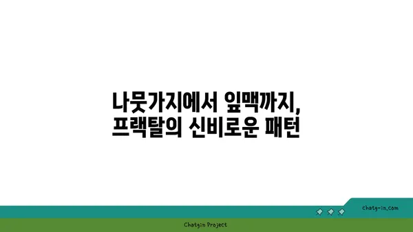 프랙탈의 아름다움| 자연과 예술 속에서 만나는 무한한 패턴 | 프랙탈, 자연, 예술, 패턴, 수학