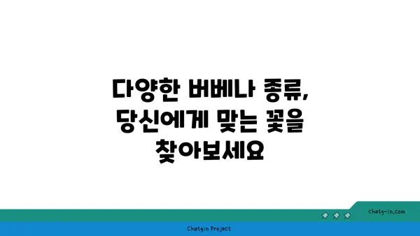 버베나 종류와 특징 완벽 정리 | 꽃말, 재배 방법, 효능, 인기 품종