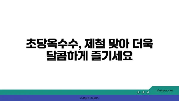 달콤한 맛의 비밀, 초당옥수수 제대로 먹는 법 | 초당옥수수, 옥수수 요리, 꿀팁, 맛있게 먹는 방법