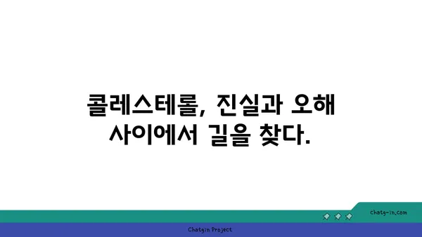 콜레스테롤 신화 깨뜨리기| 당신이 알아야 할 진실 | 건강, 오해, 사실, 지식