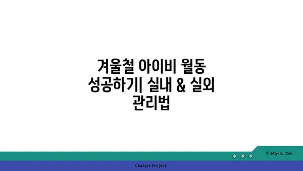 아이비 종류별 관리 가이드|  꽃 피우는 비법부터 월동까지 | 아이비, 식물 관리, 종류, 재배, 월동