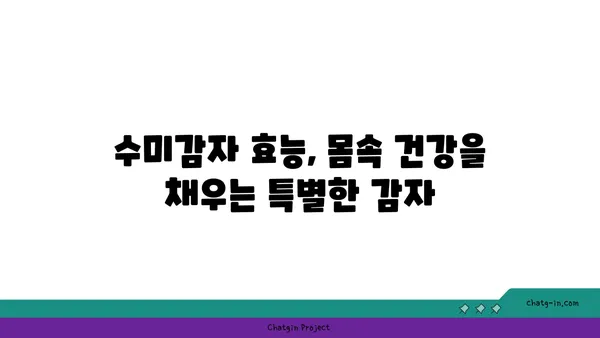 수미감자 건강 효과 극대화! 맛있게 먹는 5가지 방법 | 수미감자 레시피, 영양 정보, 건강 이점