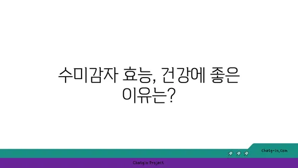 수미감자| 감자와 고구마의 건강한 대안 | 영양 비교, 레시피, 효능