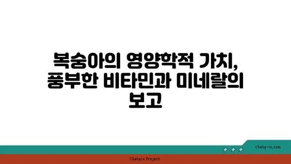 복숭아의 영양학적 폭풍우| 항산화제와 지속 가능한 에너지원 | 건강, 다이어트, 과일, 슈퍼푸드