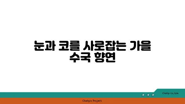 수국 페스티벌| 가을의 색채와 향기를 만끽하는 축제 | 수국, 가을축제, 꽃축제, 여행, 추천