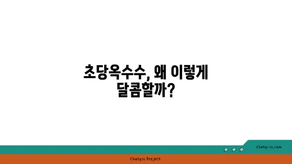 달콤한 맛의 비밀, 초당옥수수 제대로 먹는 법 | 초당옥수수, 옥수수 요리, 꿀팁, 맛있게 먹는 방법