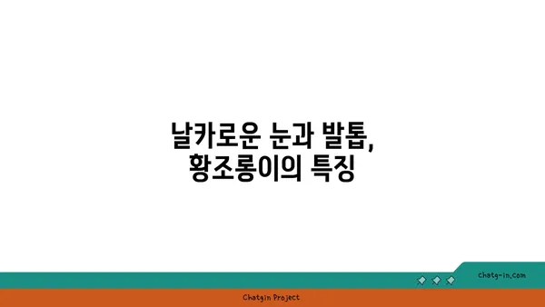 황조롱이의 비밀| 깃털부터 생태까지 | 황조롱이, 조류, 생태, 특징, 서식지