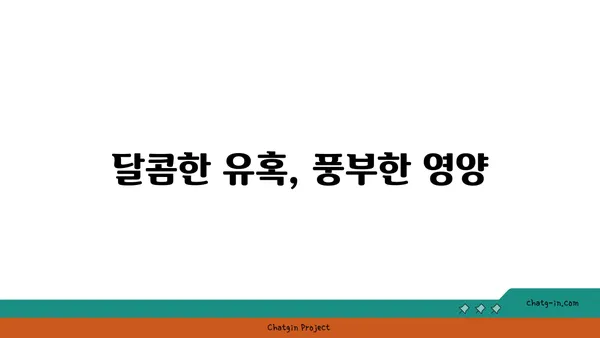 복숭아의 부드러운 매력| 섬유소, 비타민, 미네랄의 풍부함 | 건강, 영양, 과일, 맛