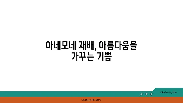 아네모네 꽃말과 전설| 사랑과 희망의 상징 | 꽃말, 전설, 의미, 종류, 재배