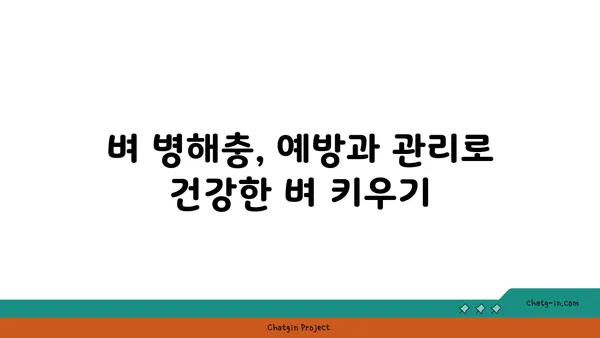 벼농사 성공 전략| 품종부터 수확까지 완벽 가이드 | 벼 재배, 벼농사, 벼 관리, 벼 수확, 벼 품종, 벼 병해충