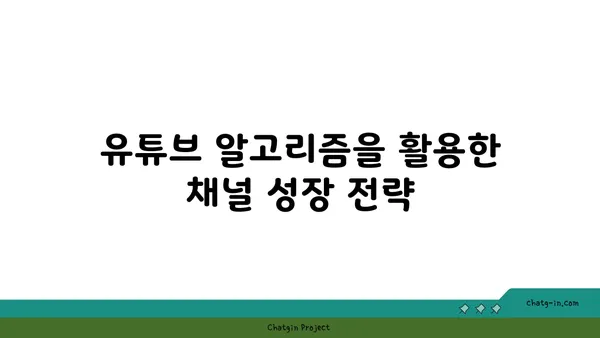 유튜브 채널 성장을 위한 핵심 전략 7가지 | 유튜브 마케팅, 채널 성장, 구독자 확보, 콘텐츠 제작