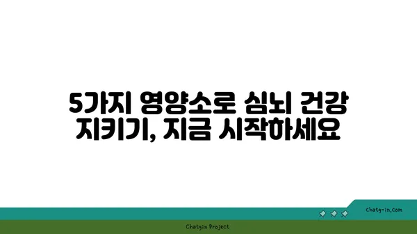 심뇌 건강 지키는 5가지 필수 영양소| 비타민과 미네랄 | 뇌 건강, 심혈관 건강, 건강 관리, 영양 팁