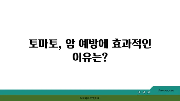 토마토의 놀라운 암 예방 효과| 연구 결과와 섭취 방법 | 건강, 항암 식품, 식단