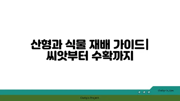 산형과 식물의 매력| 종류별 특징과 재배 가이드 | 산형과 식물, 허브, 약초, 꽃, 재배 정보