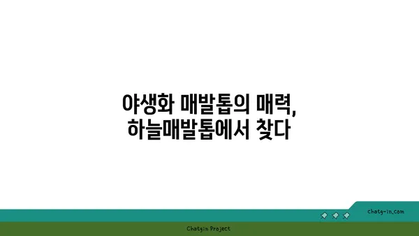 하늘매발톱의 매력에 빠지다| 꽃말과 재배 가이드 | 야생화, 매발톱, 식물 정보, 정원 꾸미기