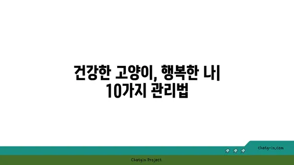 고양이와 행복하게 살아가는 10가지 관리법 | 고양이 키우기, 고양이 관리, 반려묘 팁