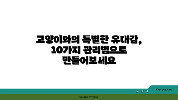 고양이와 행복하게 살아가는 10가지 관리법 | 고양이 키우기, 고양이 관리, 반려묘 팁