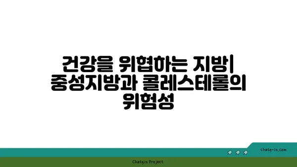 중성지방과 콜레스테롤| 헷갈리는 두 지방의 비밀 | 건강, 지방, 혈액, 차이점, 공통점