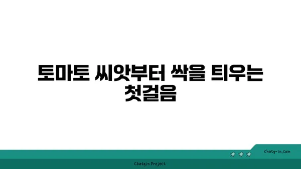 토마토 재배 가이드| 씨앗부터 수확까지 완벽하게 | 토마토, 재배, 텃밭, 베란다, 팁, 정보