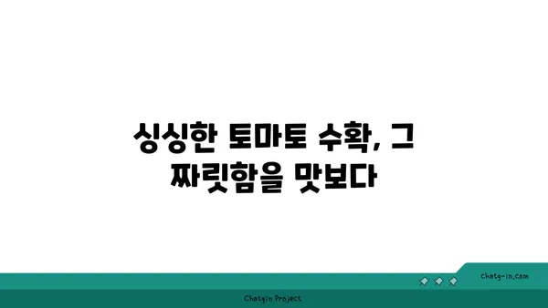 토마토 재배 가이드| 씨앗부터 수확까지 완벽하게 | 토마토, 재배, 텃밭, 베란다, 팁, 정보