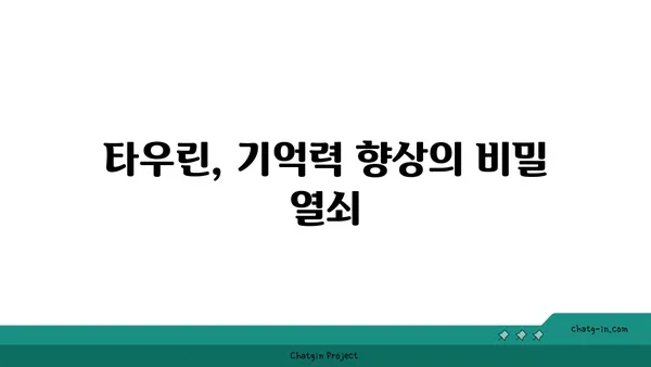 타우린의 놀라운 뇌 건강 효과| 기억력 향상, 집중력 증진, 스트레스 완화 | 타우린, 뇌 건강, 기억력, 집중력, 스트레스