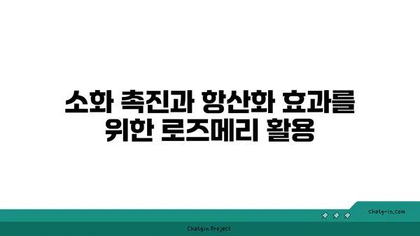 로즈메리의 놀라운 효능 7가지 | 허브, 건강, 요리, 효능, 장점