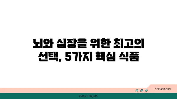 두뇌 명료함과 심장 건강을 위한 5가지 뇌&심장 건강 식품 | 건강 식단, 두뇌 건강, 심장 건강, 뇌 기능 향상, 심혈관 건강