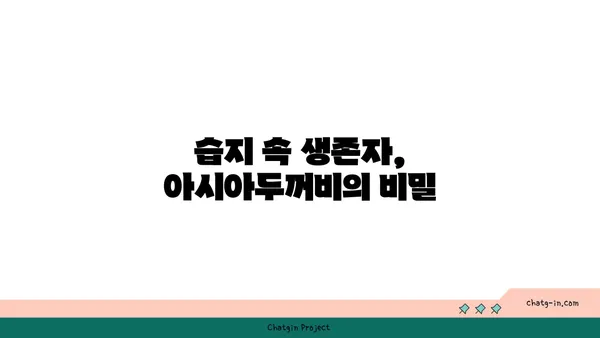 아시아두꺼비| 생태와 보호 | 양서류, 한국, 멸종 위기종, 서식지 보존