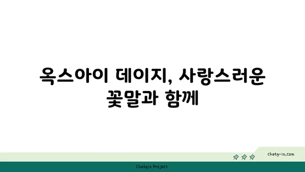 옥스아이 데이지| 봄을 알리는 사랑스러운 꽃 | 옥스아이 데이지, 봄꽃, 꽃말, 재배 정보, 사진