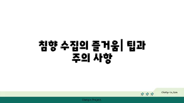 침향 수집| 향기로운 모험의 길 따라가기 | 침향 종류, 감별법, 수집 팁, 가치 탐구