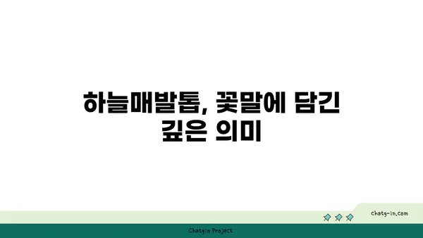 하늘매발톱의 매력에 빠지다| 꽃말과 재배 가이드 | 야생화, 매발톱, 식물 정보, 정원 꾸미기