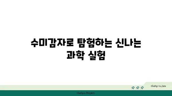 수미감자로 뚝딱! 아이와 함께 즐기는 홈 프로젝트 5가지 | 수미감자 활용, 홈 프로젝트, 어린이 활동, 놀이, 만들기