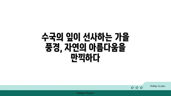 수국의 잎에서 가을 색상 변화 감상하기| 9월부터 11월까지의 매혹적인 변신 | 가을, 단풍, 수국, 정원, 풍경