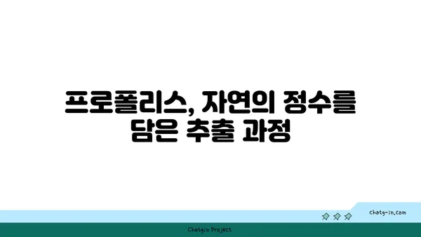 프로폴리스 채취부터 추출까지| 벌집에서 얻는 천연 보물의 비밀 | 프로폴리스, 채취, 처리, 추출, 벌집