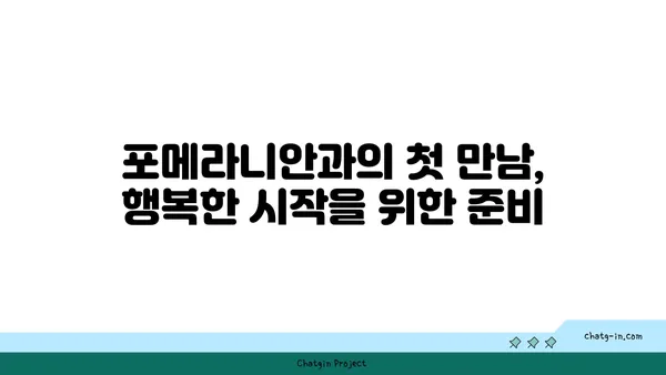 포메라니안 입양 가이드| 건강하고 행복한 삶을 위한 완벽한 준비 | 포메라니안 분양, 포메라니안 키우기, 강아지 입양