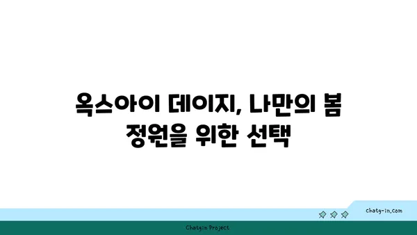 옥스아이 데이지| 봄을 알리는 사랑스러운 꽃 | 옥스아이 데이지, 봄꽃, 꽃말, 재배 정보, 사진