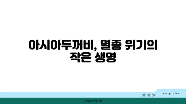 아시아두꺼비| 생태와 보호 | 양서류, 한국, 멸종 위기종, 서식지 보존