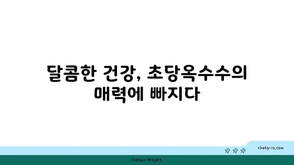 초당옥수수| 만성 질환 퇴치의 숨겨진 힘 | 건강, 항산화, 혈당 조절, 면역력 강화